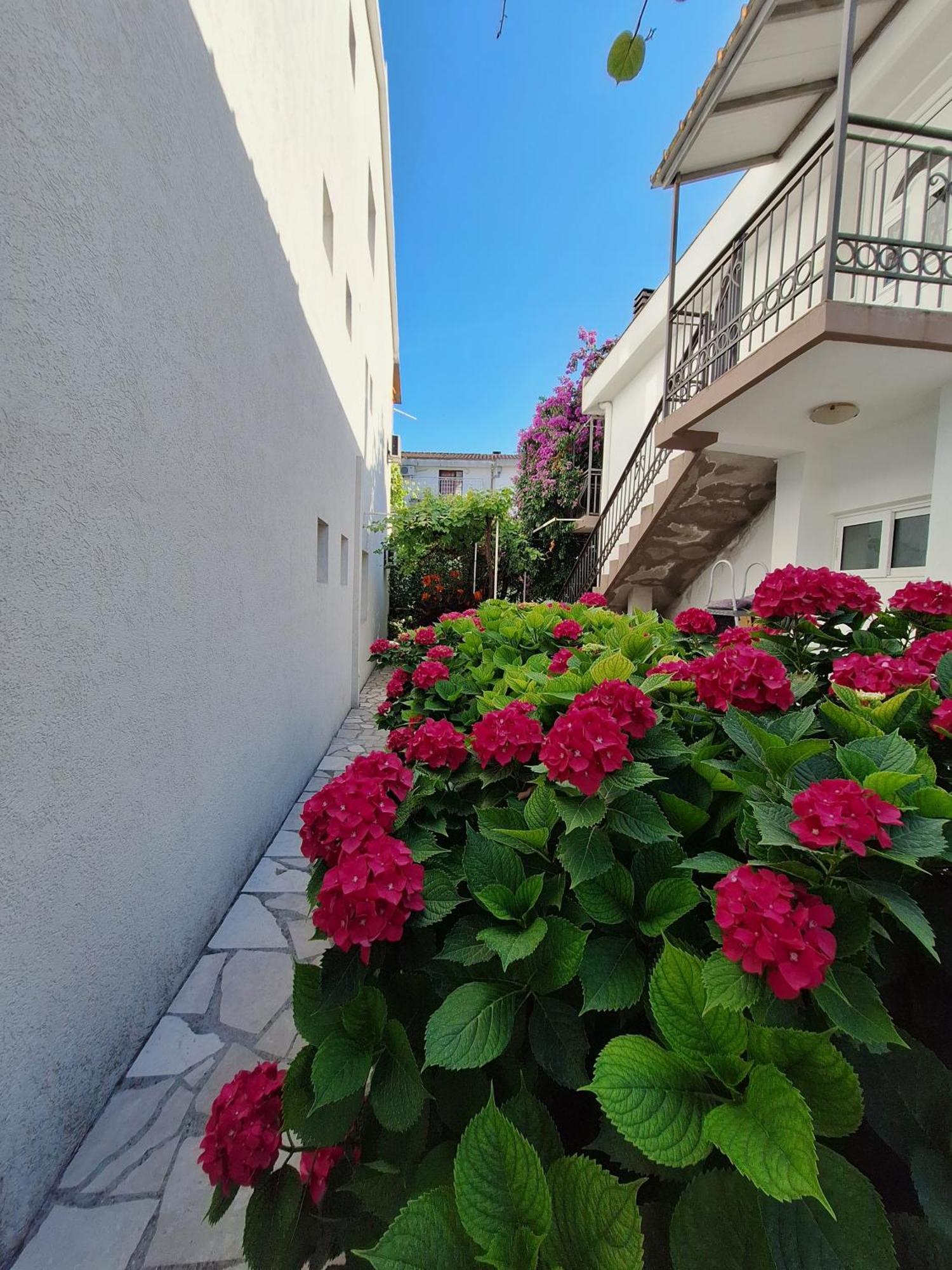 Apartmani Hortenzija Budva Kültér fotó
