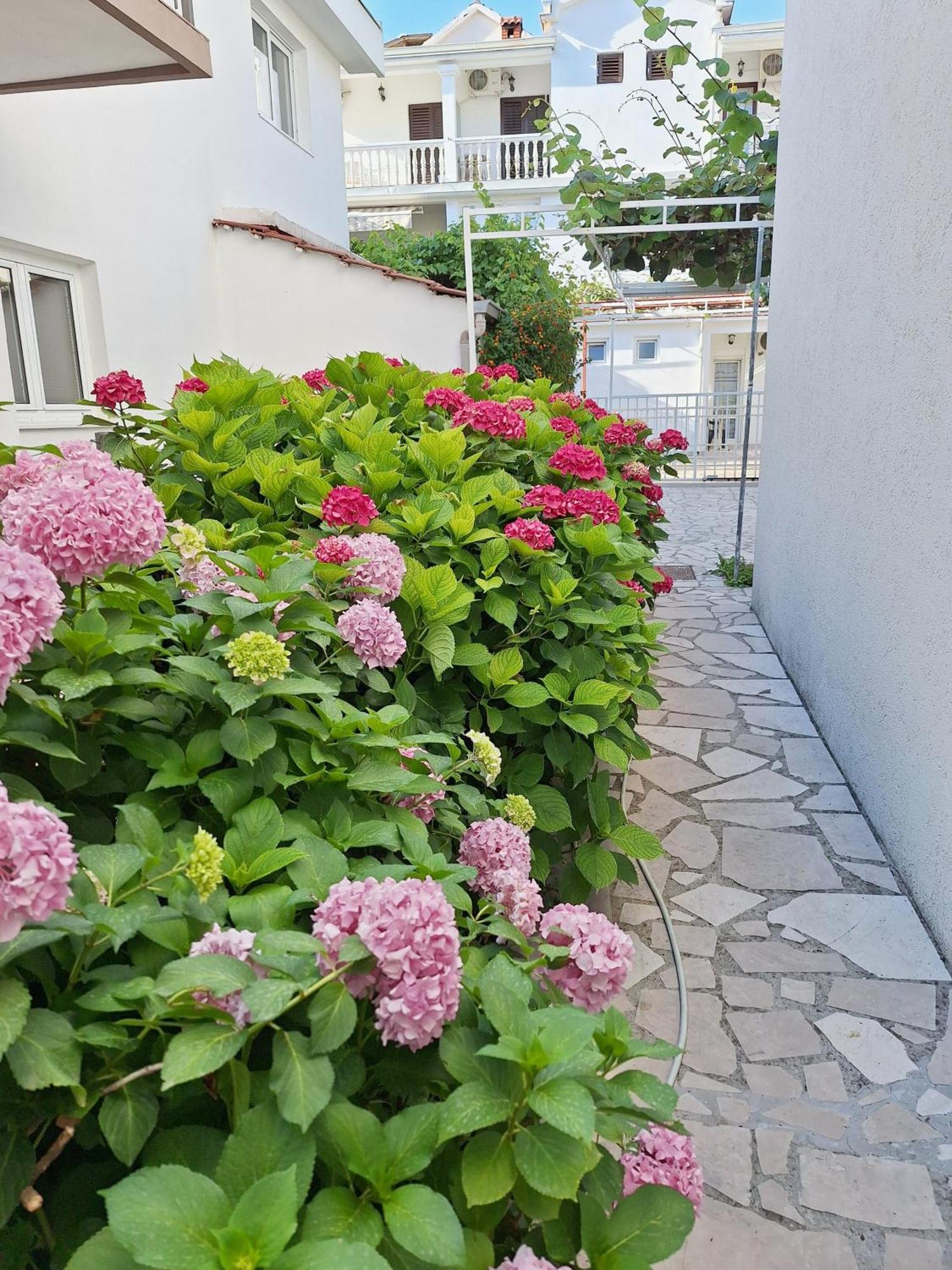 Apartmani Hortenzija Budva Kültér fotó