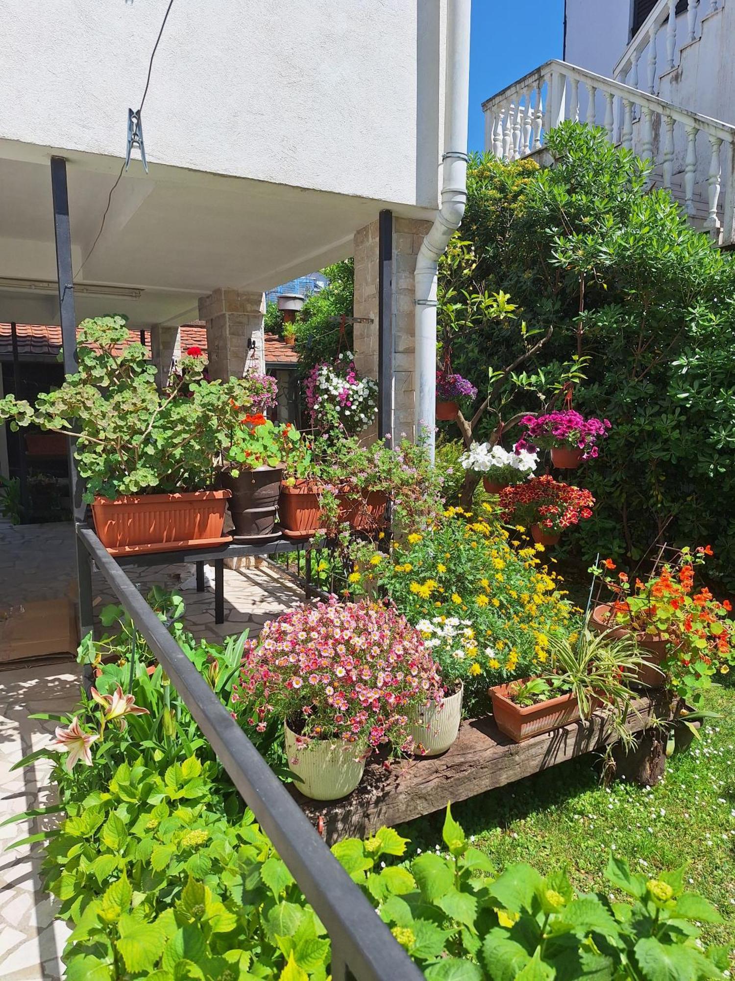 Apartmani Hortenzija Budva Kültér fotó